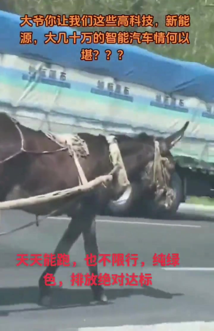 全景天窗自然空气木质坐椅四驱加两轮智能驾驶全天候车