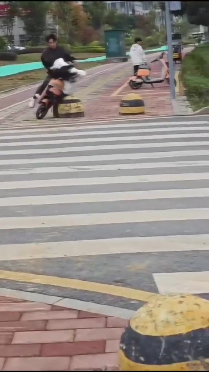 柱子：干啥玩意啊，旁边有路不走，骑着电驴就干我