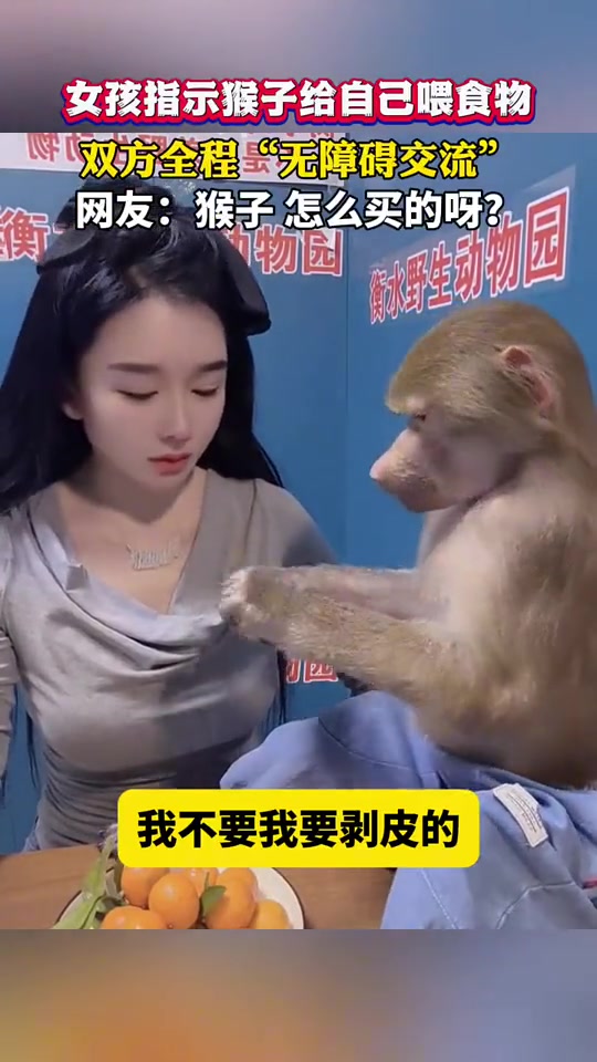 女孩指示猴子给自己喂食物，双方全程“无障碍交流”