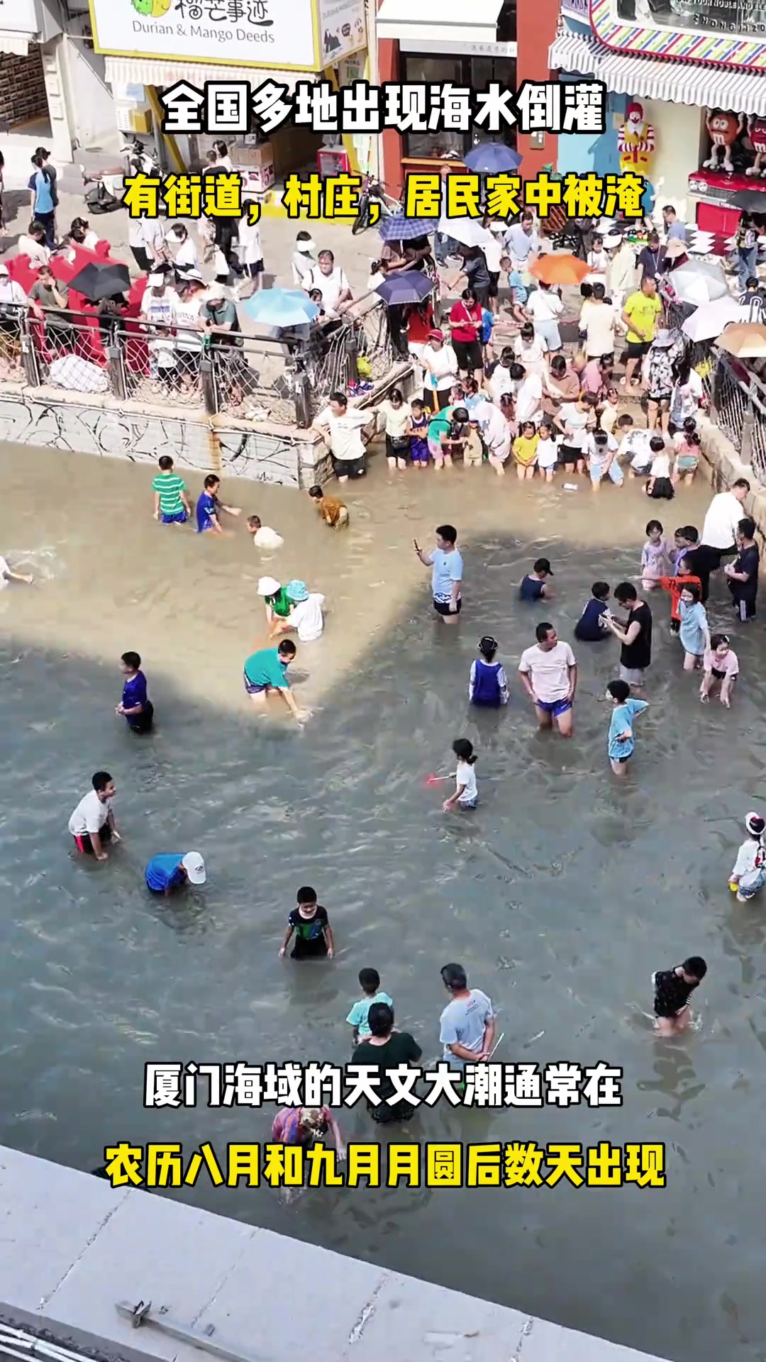 变成海上城市