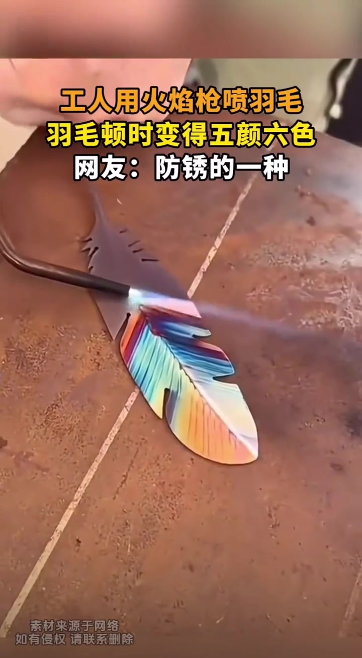 工人用火焰枪喷羽毛，羽毛变得五颜六色