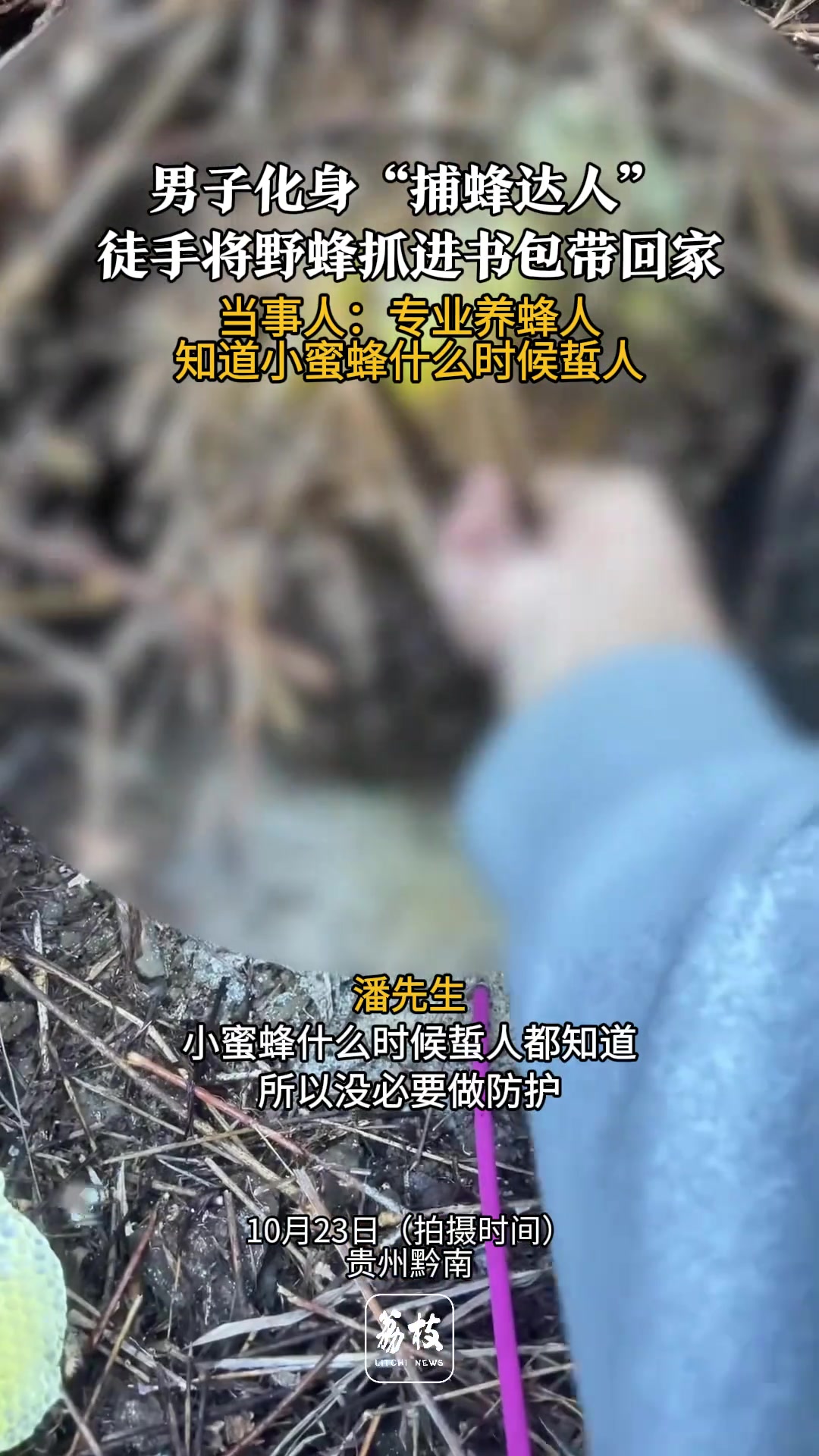 男子徒手将野蜂装书包带回家