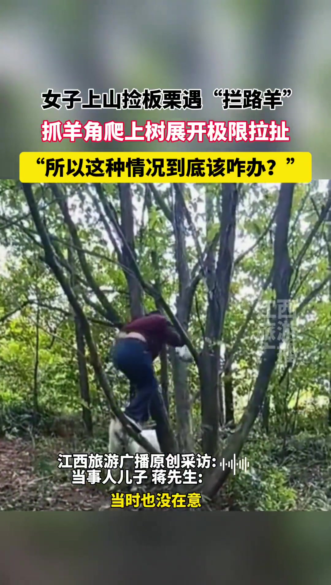 这种情况应该怎么办