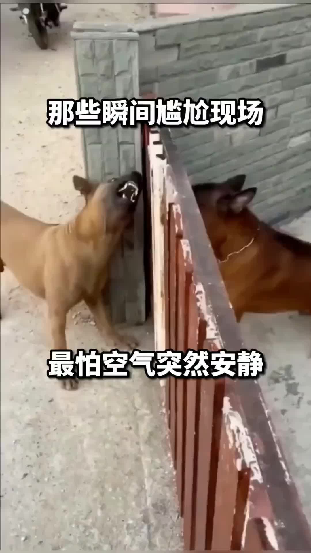 最怕的就是空气突然安静啊