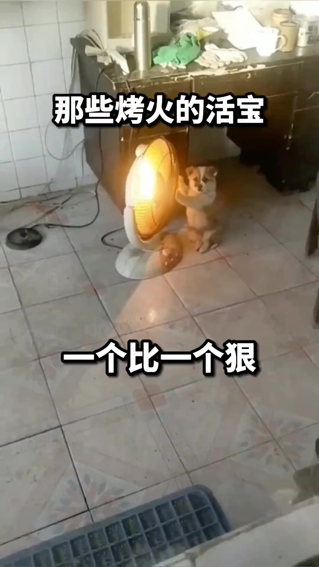 那些烤火的活宝，真是一个比一个狠啊！