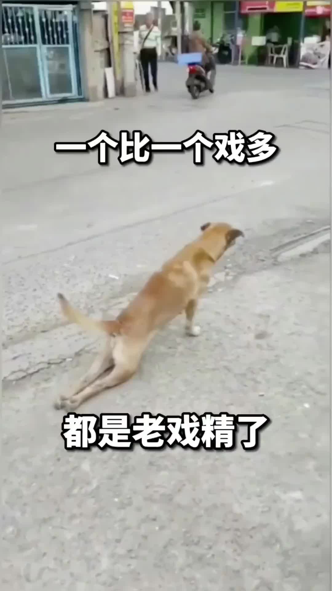 一个比一个戏多，都是老戏精了