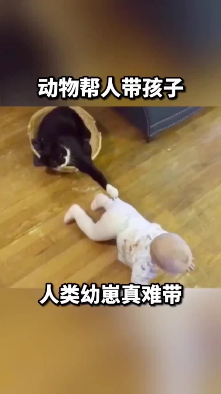 动物帮人带孩子，人类幼崽真难带啊！