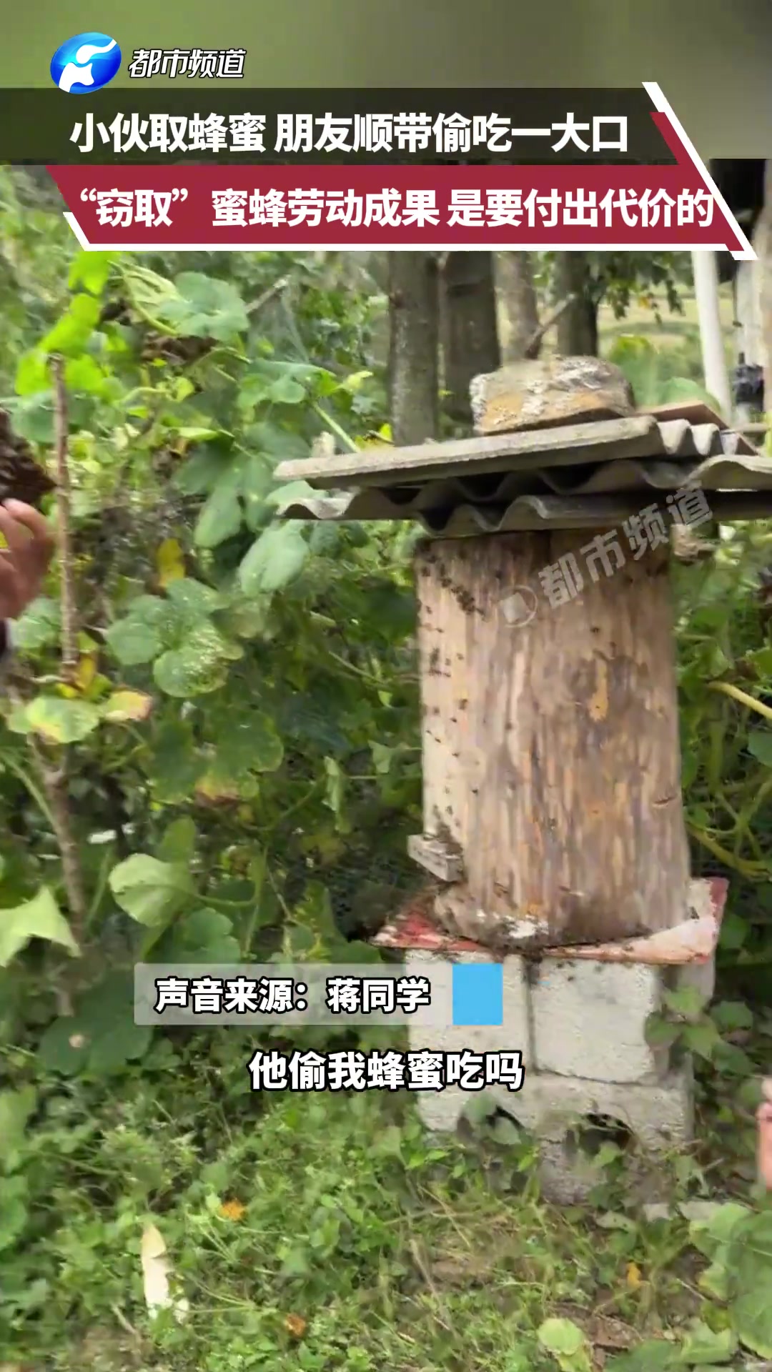 男子汉变成肿汉