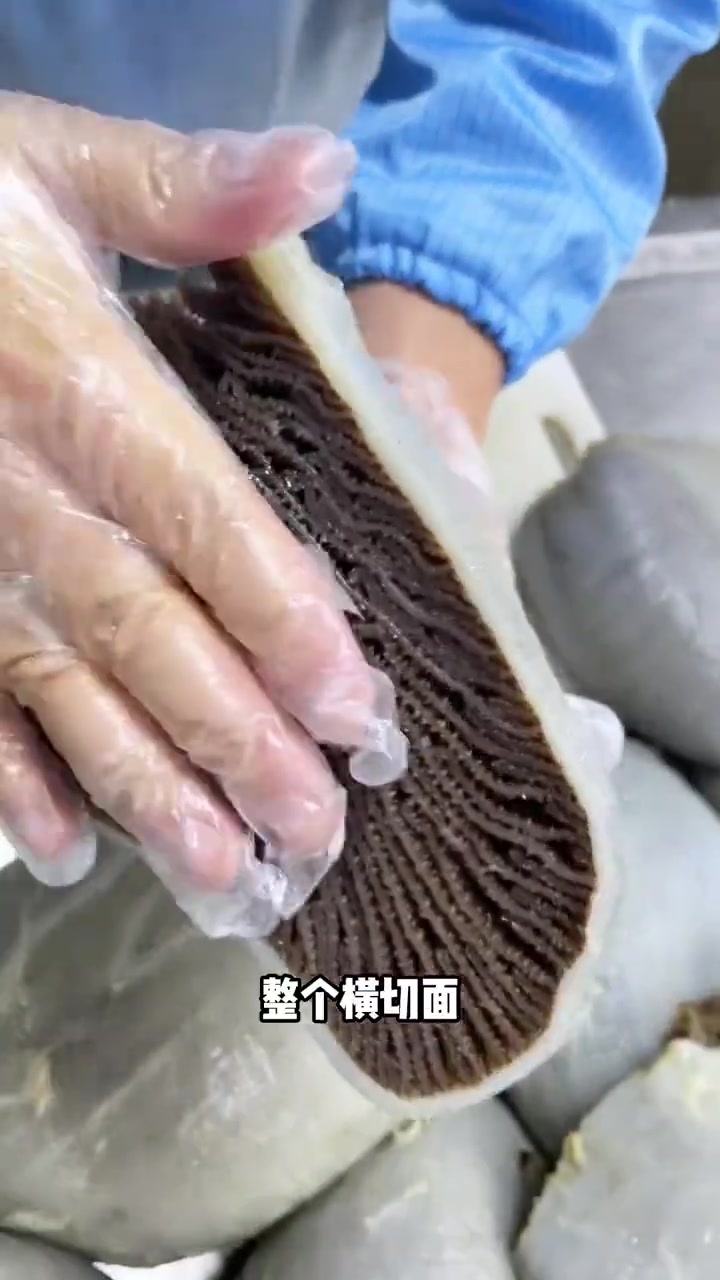 原来毛肚是这样切的...