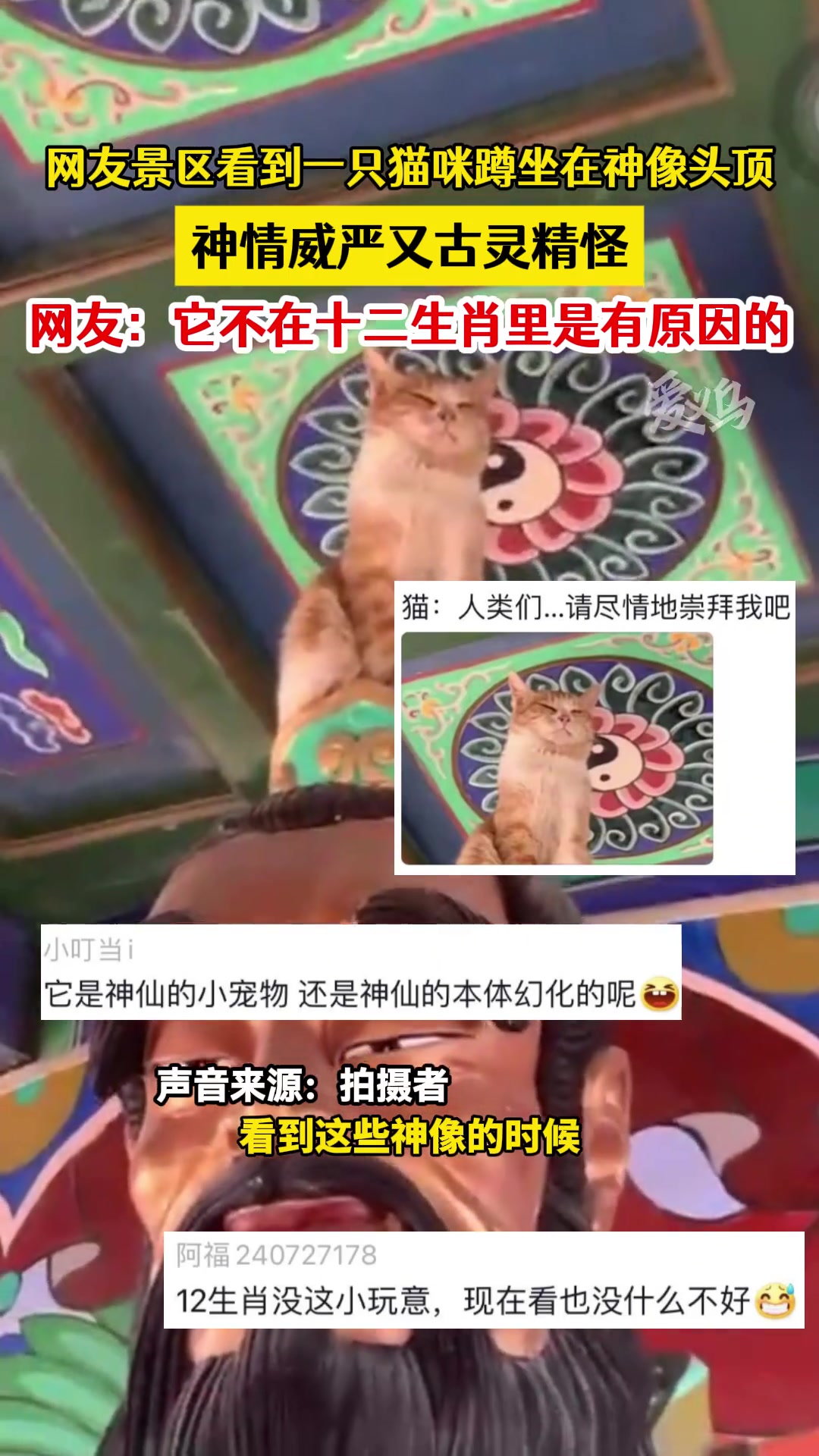 很难想象，要是猫在十二生肖里属猫的人性格会是什么样