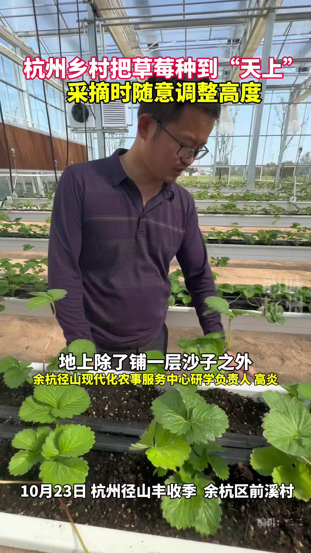 有没有摘过天上的草莓