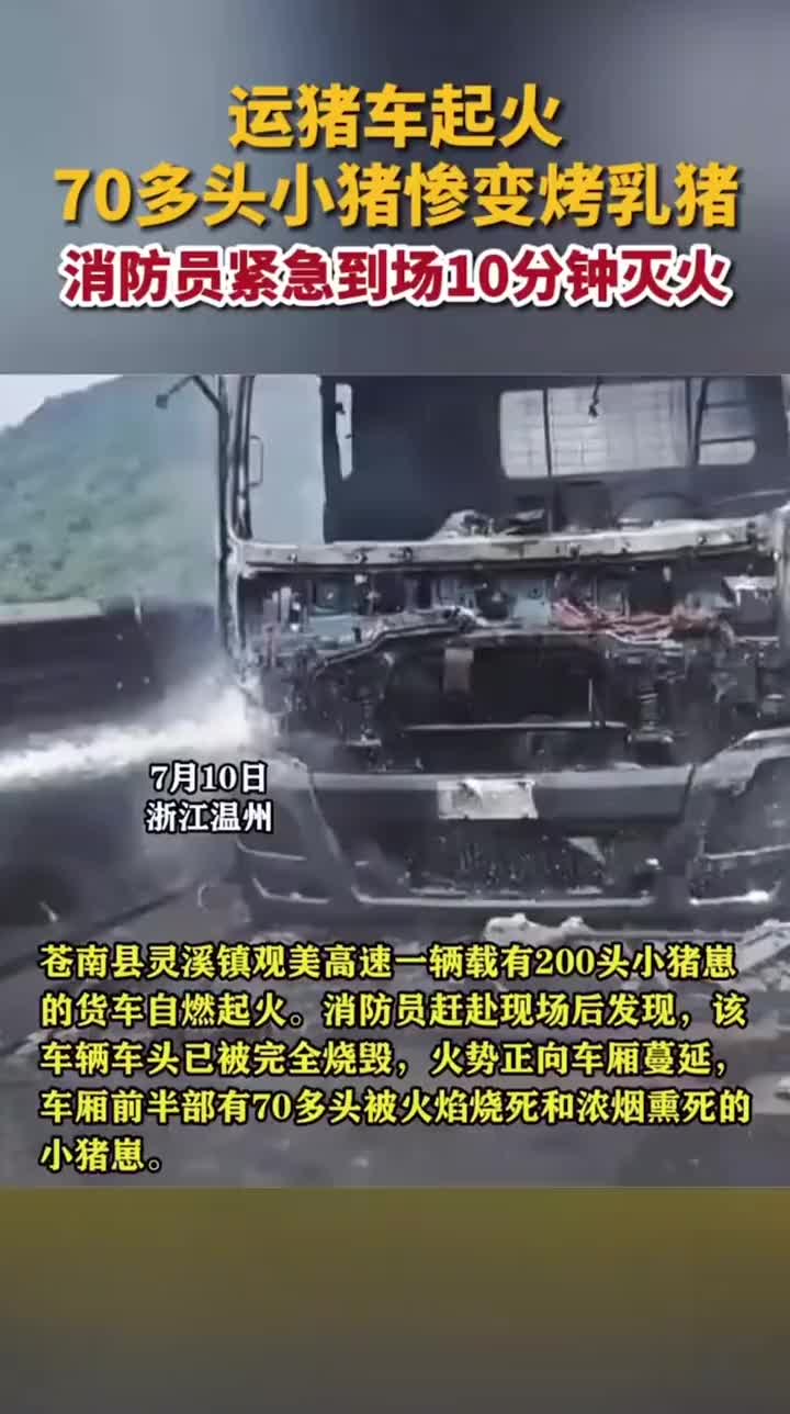 运猪车自燃起火，70多头小猪惨变烤乳猪