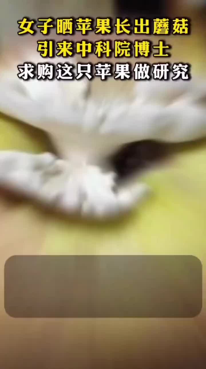 女子晒苹果长出蘑菇引来中科院博士，求购这只苹果做研究