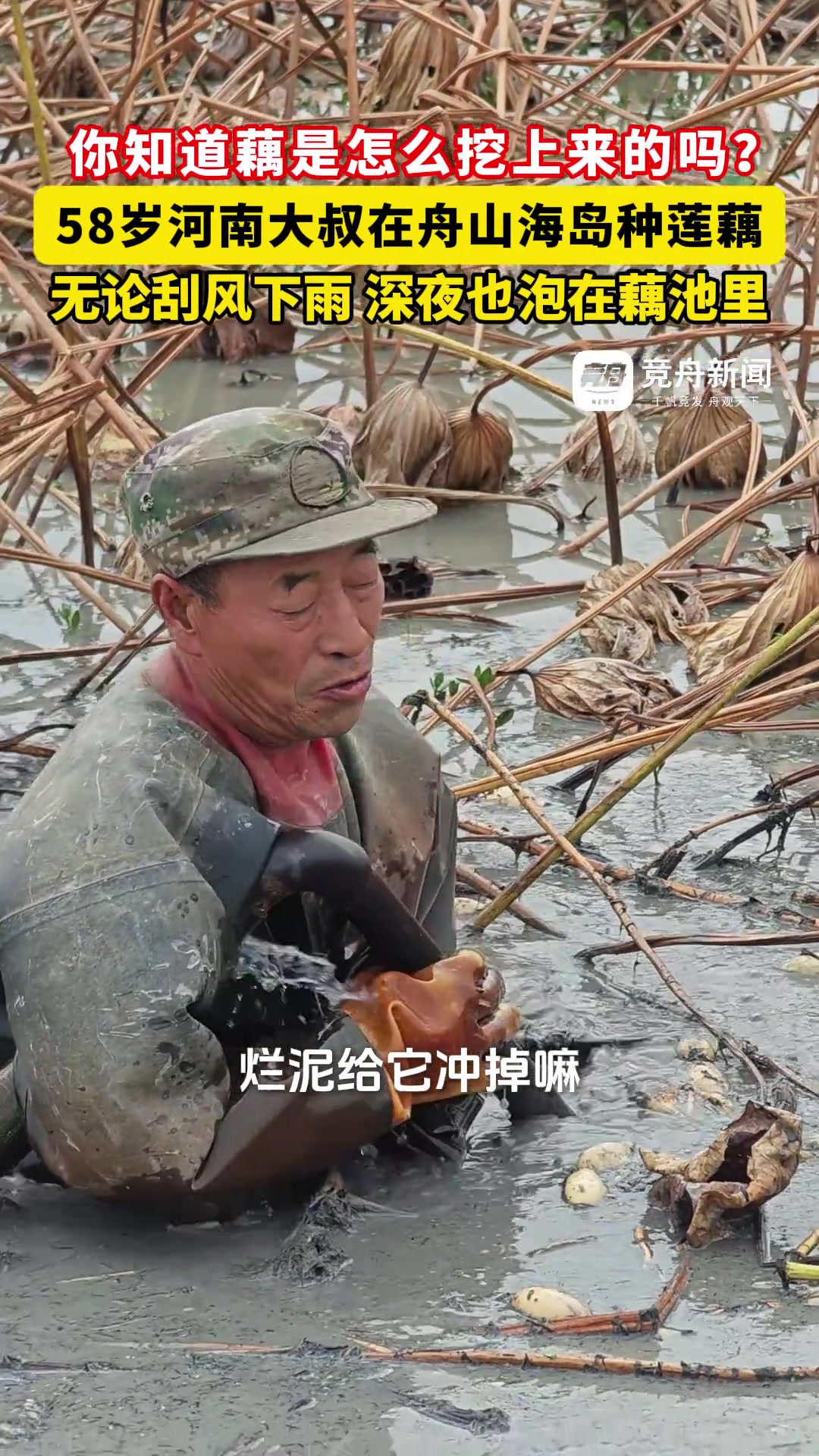 你知道藕是怎么挖上来的吗