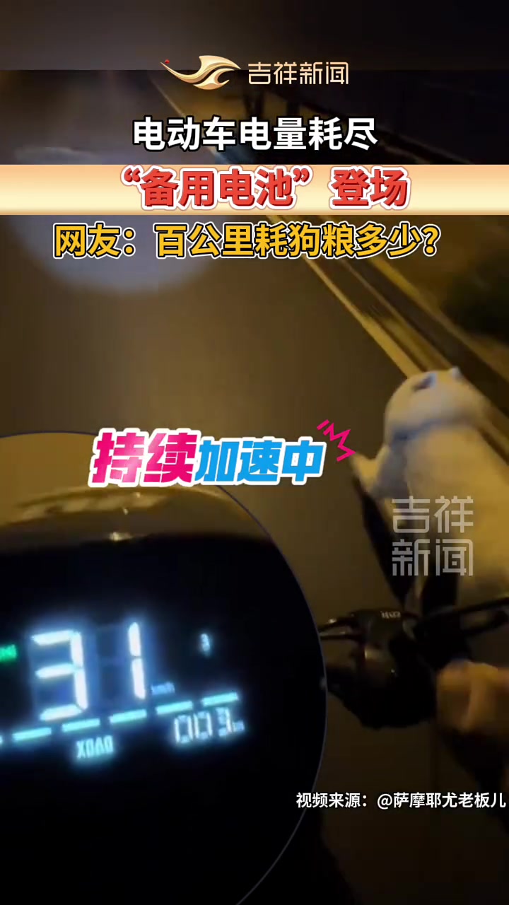 电动车电量耗尽，“备用电池”登场，网友：百公里耗狗粮多少