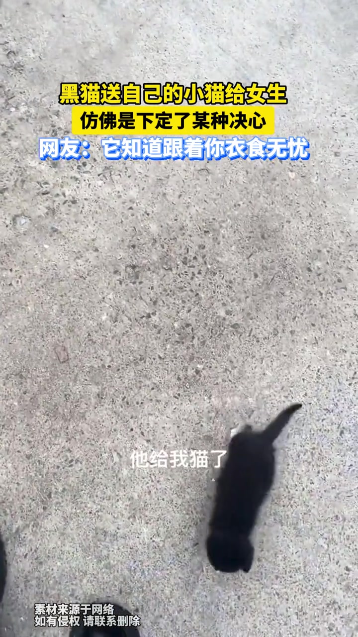 黑猫送自己的小猫给女生，仿佛是下定了某种决心