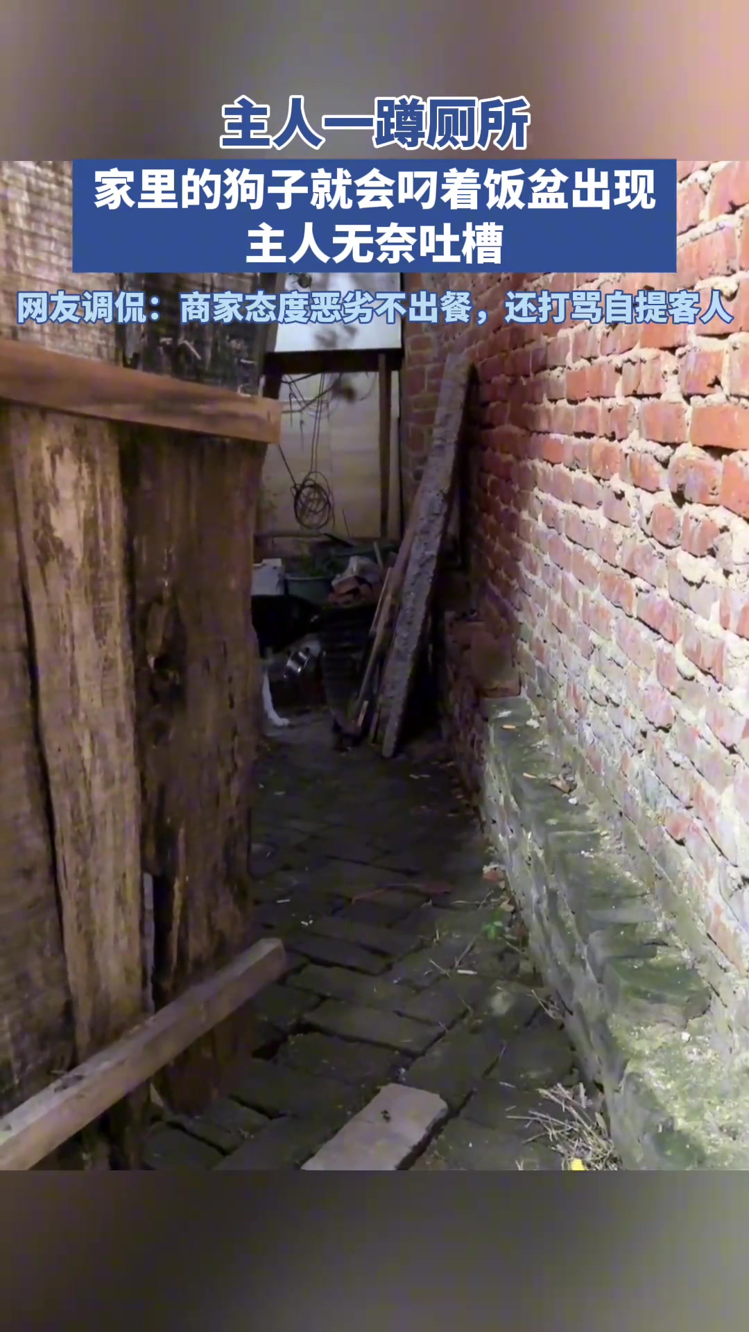 主人一蹲厕所，家里的狗子就会叼着饭盆出现，主人无奈吐槽！