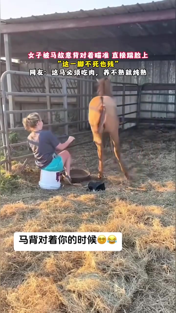 都转过来了还敢在那坐着