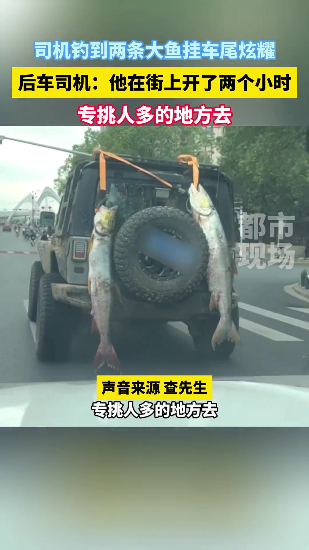 司机钓到两条大鱼挂车尾炫耀专挑人多的地方去！