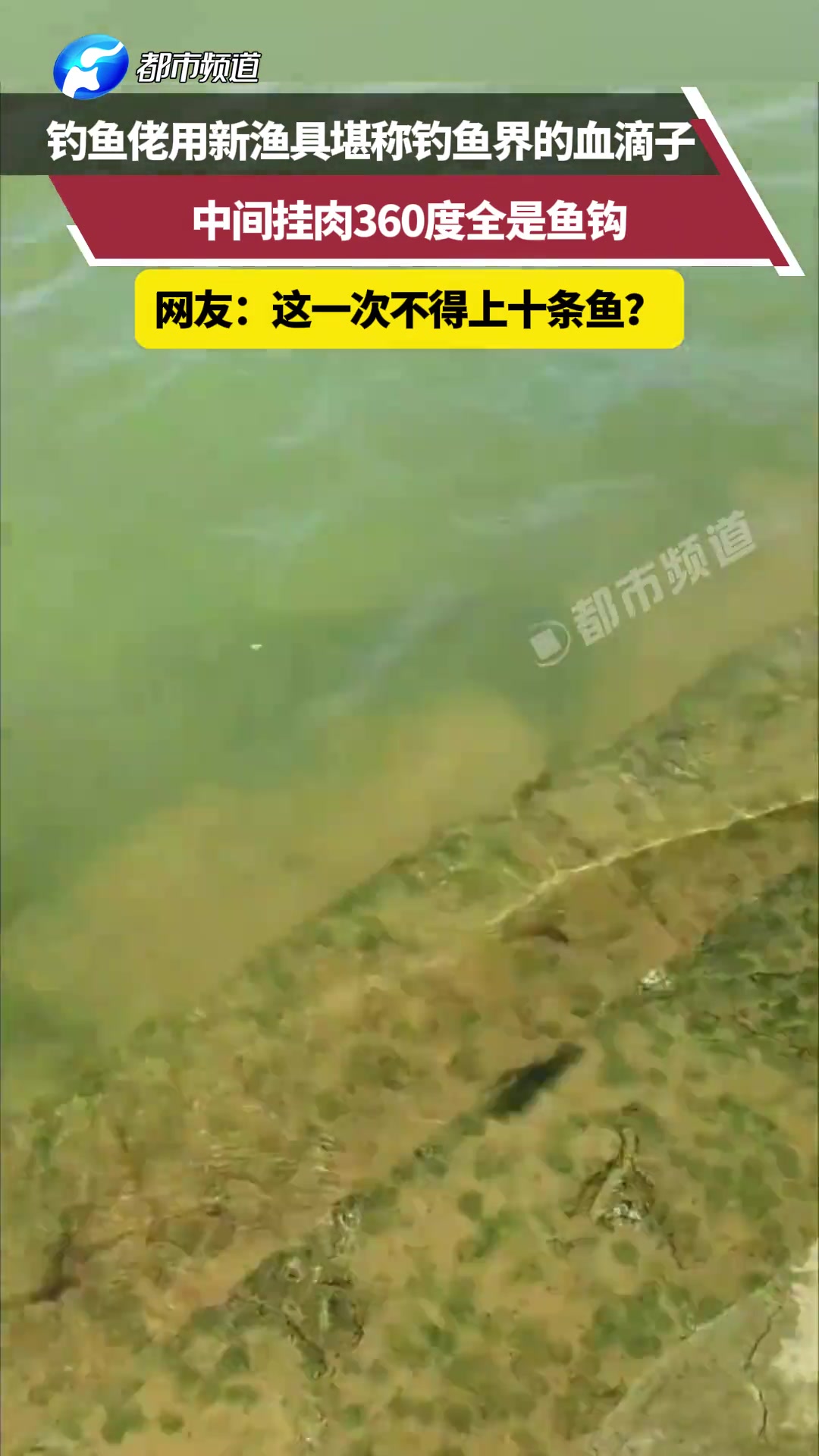 钓鱼佬用新渔具堪称钓鱼界的血滴子中间挂肉360度全是鱼钩