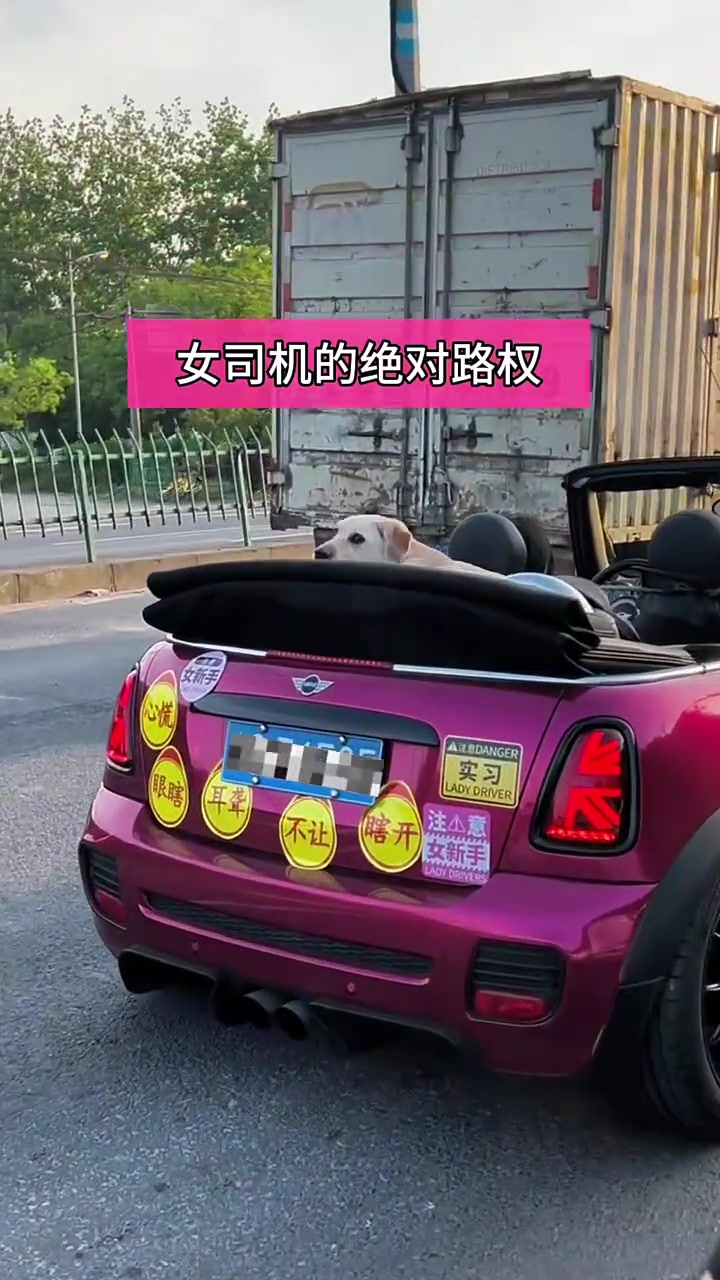 敢问阁下碰到会如何操作