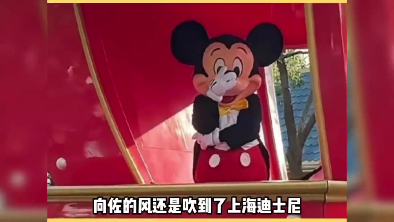 上海迪士尼全员向佐化质疑向佐，理解向佐，成为向佐