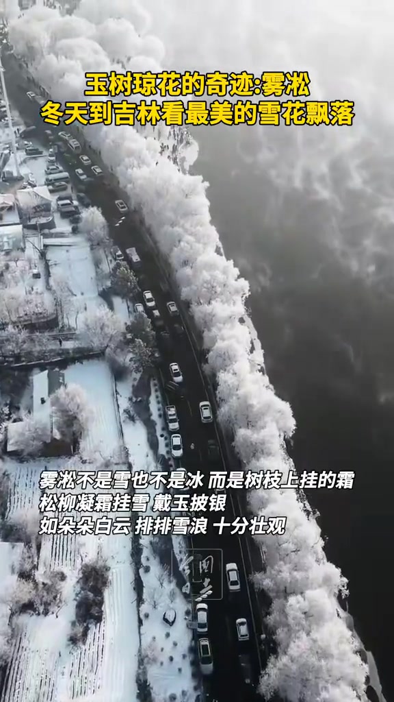 玉树琼花的奇迹：雾凇，冬天到吉林看最美的雪花飘落