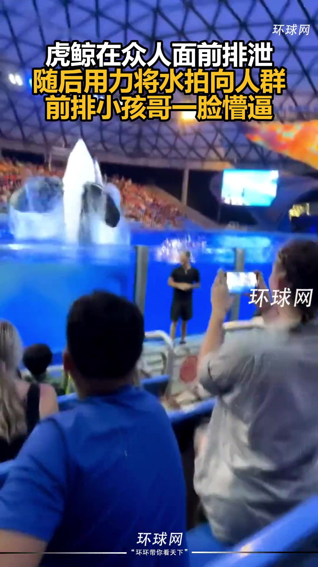 虎鲸：喜欢看表演是吧，让你们尝尝好吃的！！