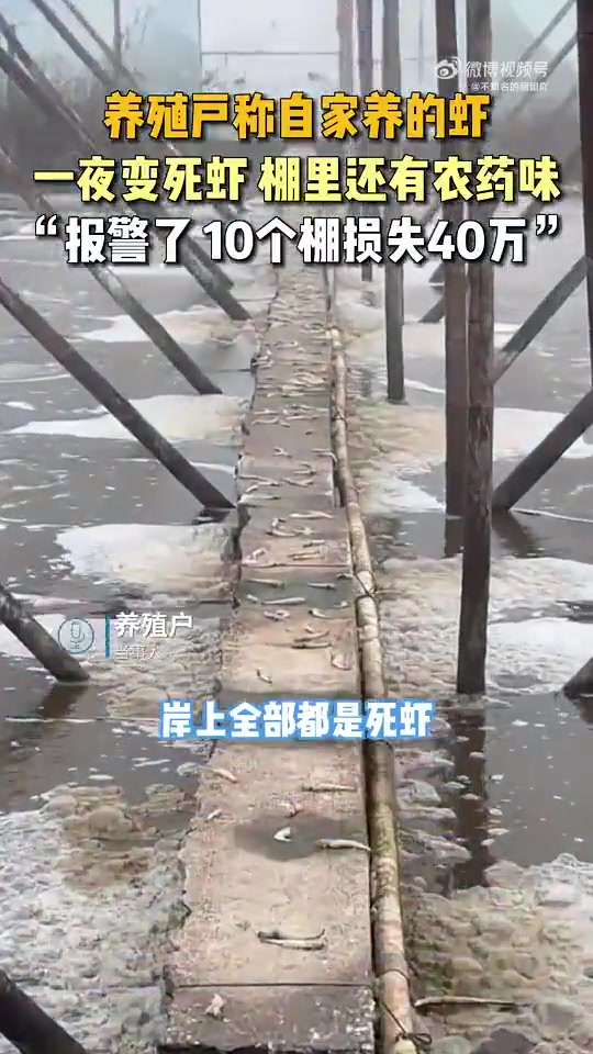 这么重要的地方没有摄像头，现在虾没了知道着急了！！