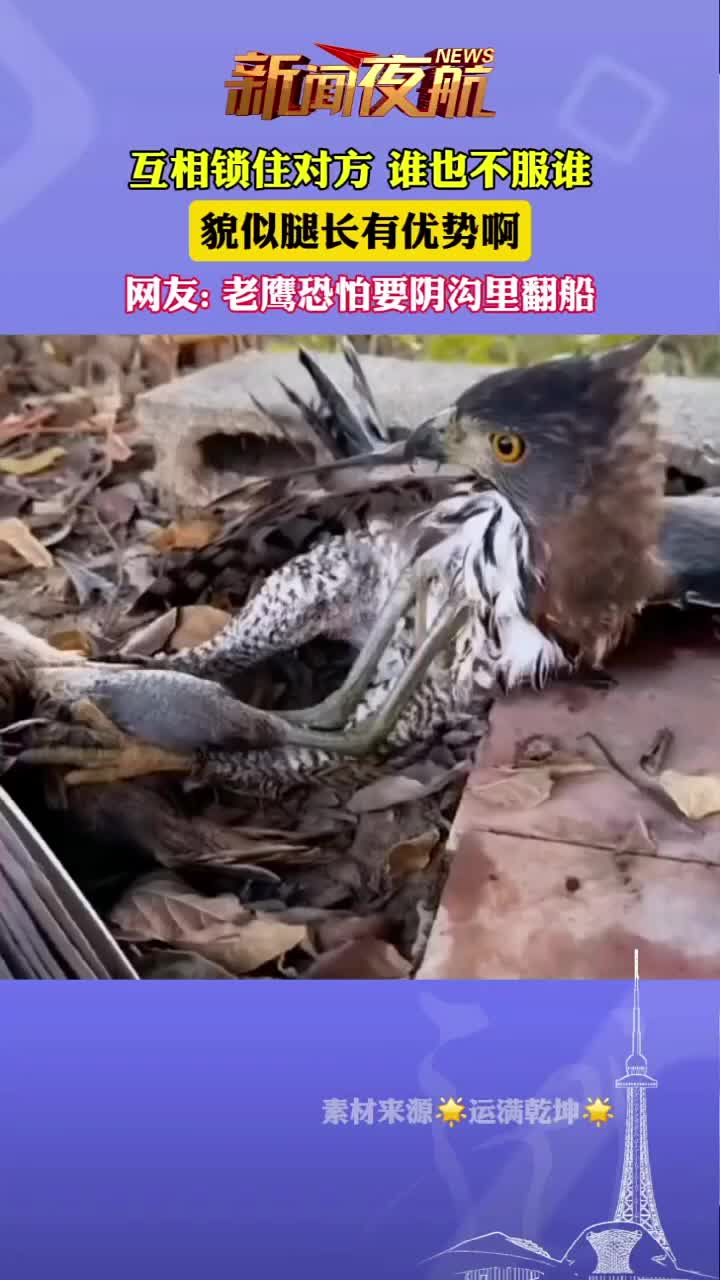 互相锁住对方谁也不服谁，貌似腿长有优势啊！