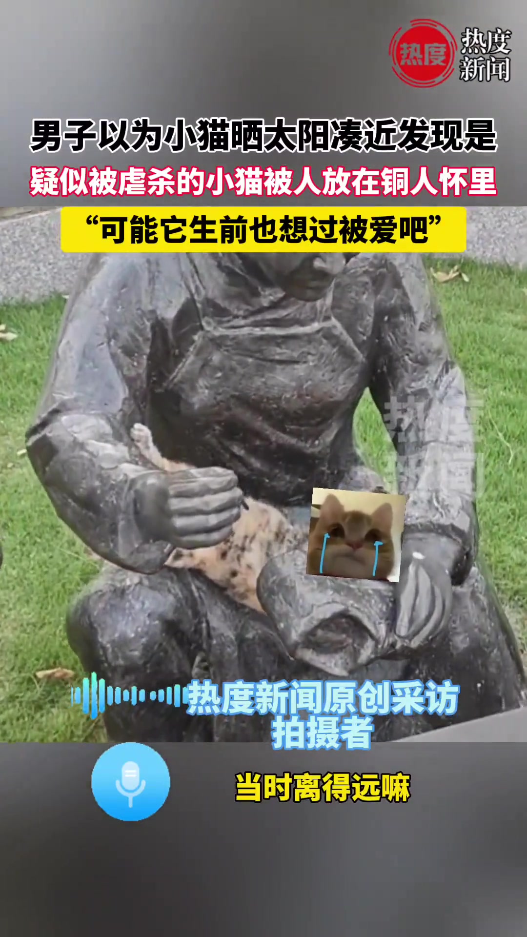 疑似被虐杀的小猫被人放在铜人怀里！