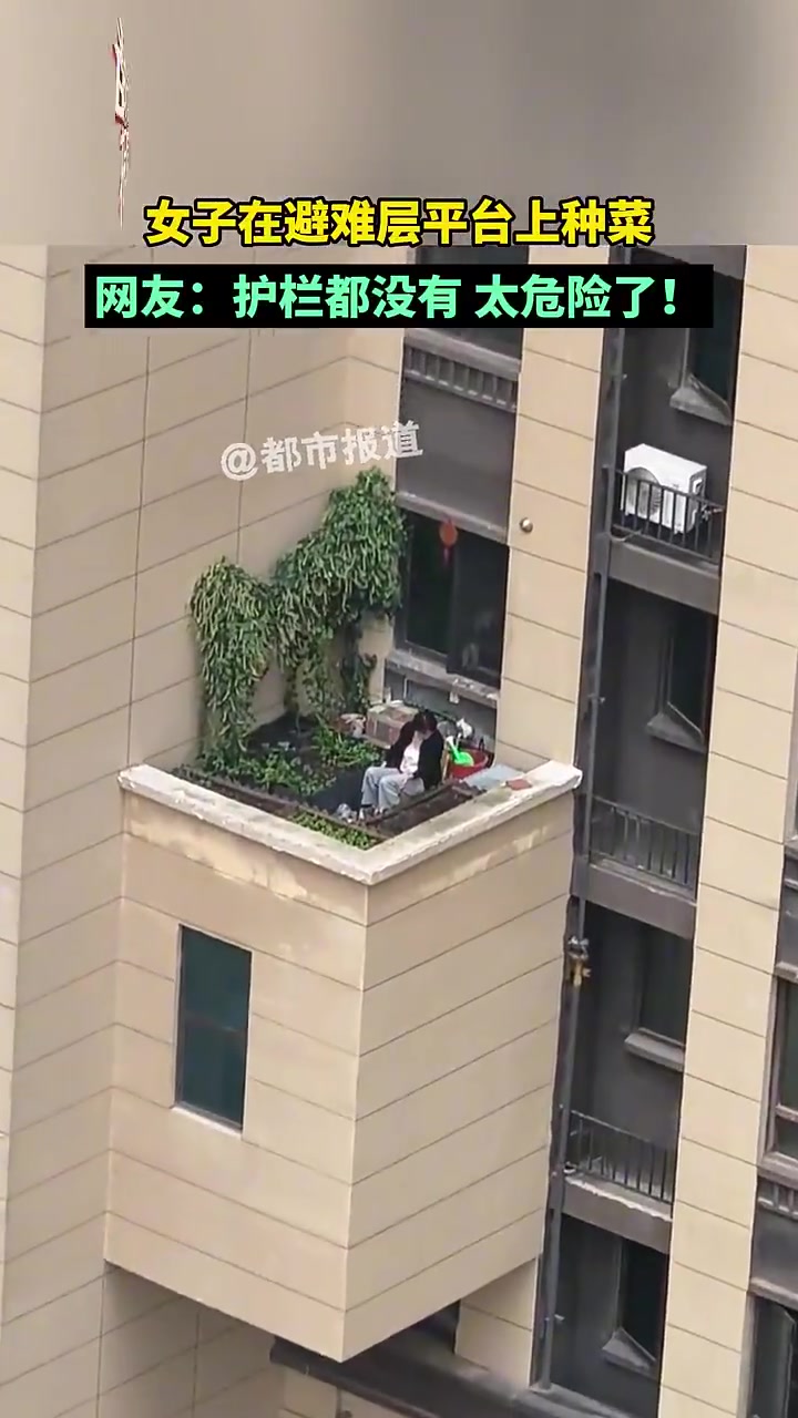 太危险了！女子在避难层平台上种菜
