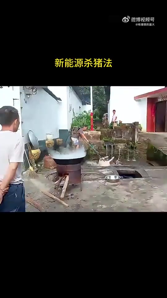 据说用电打的猪味道更鲜美