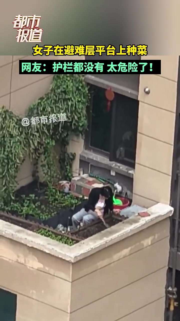 太危险了！女子在避难层平台上种菜！