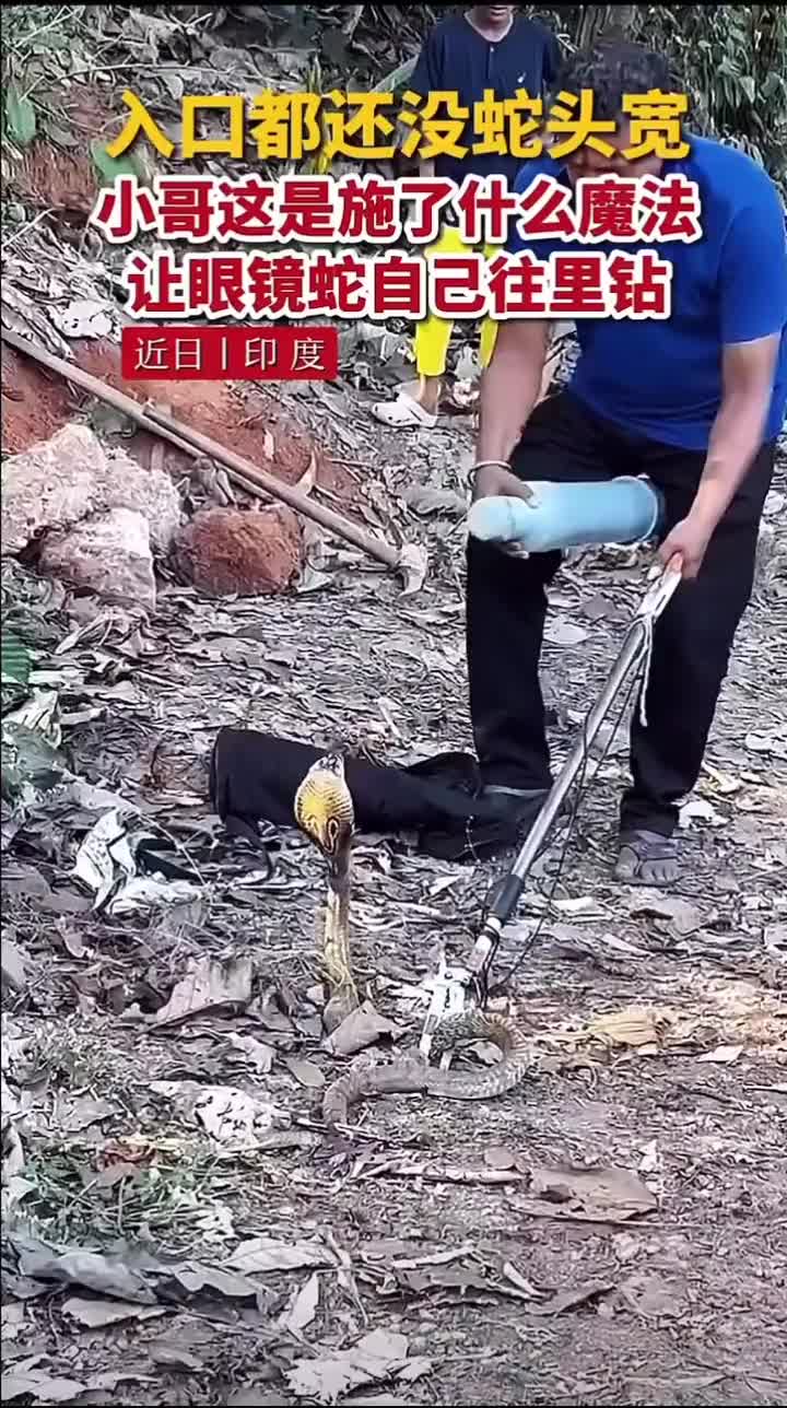这是施了什么魔法