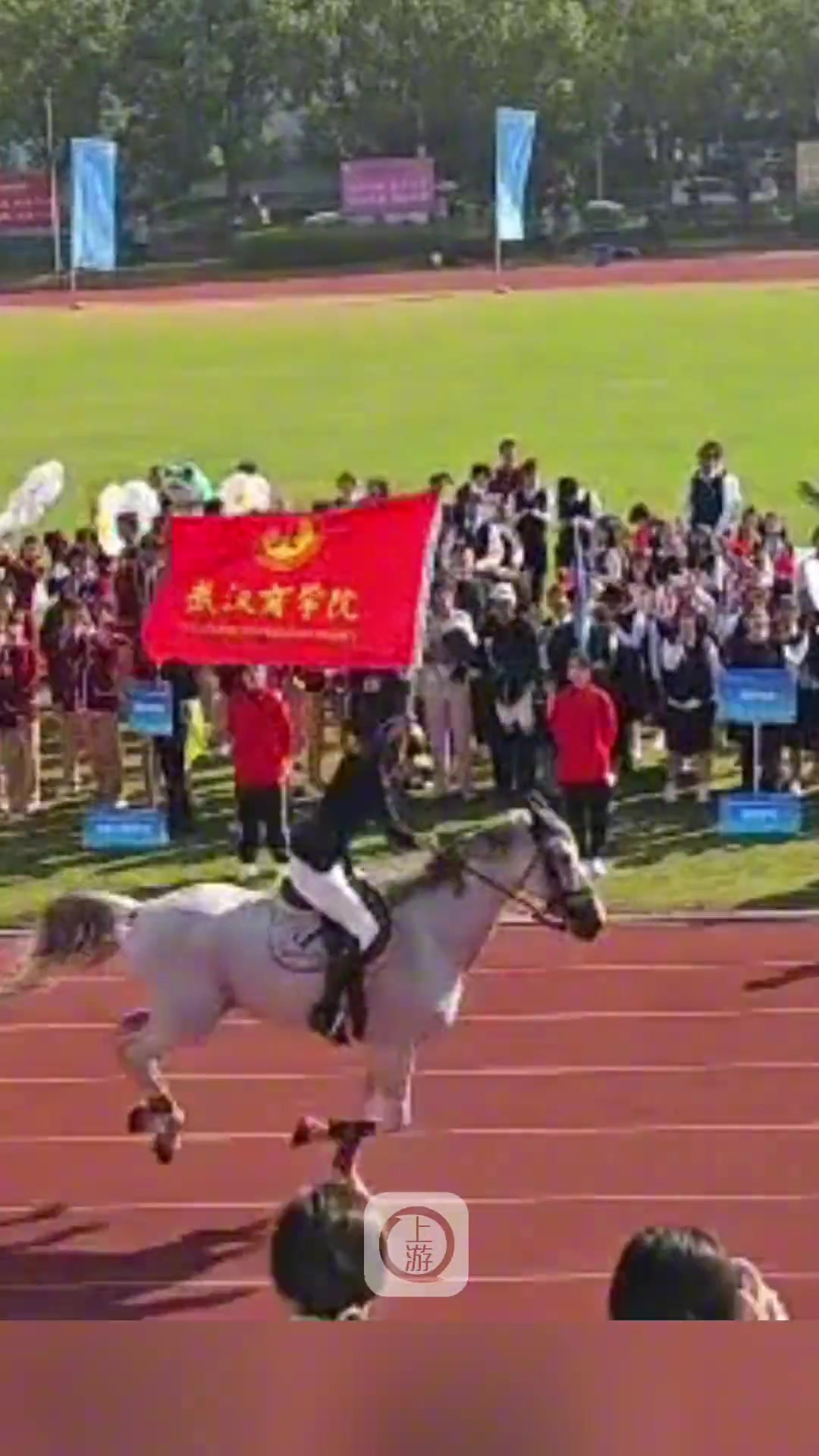 武汉一大学运动会开幕式，老师学生骑马帅气登场