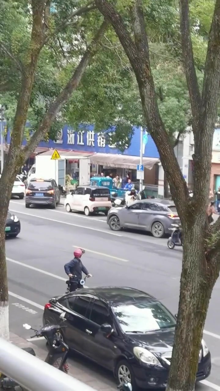 野猪都上街了！