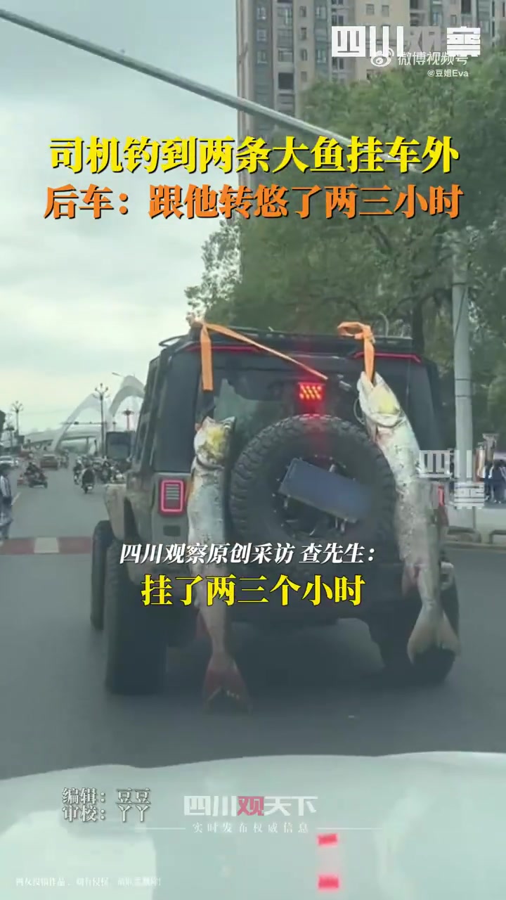这是翘嘴鱼吗！