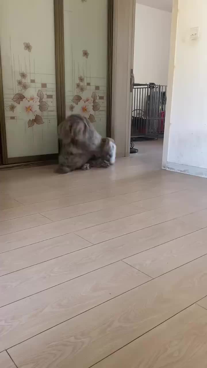 第一眼我还以为是一个人