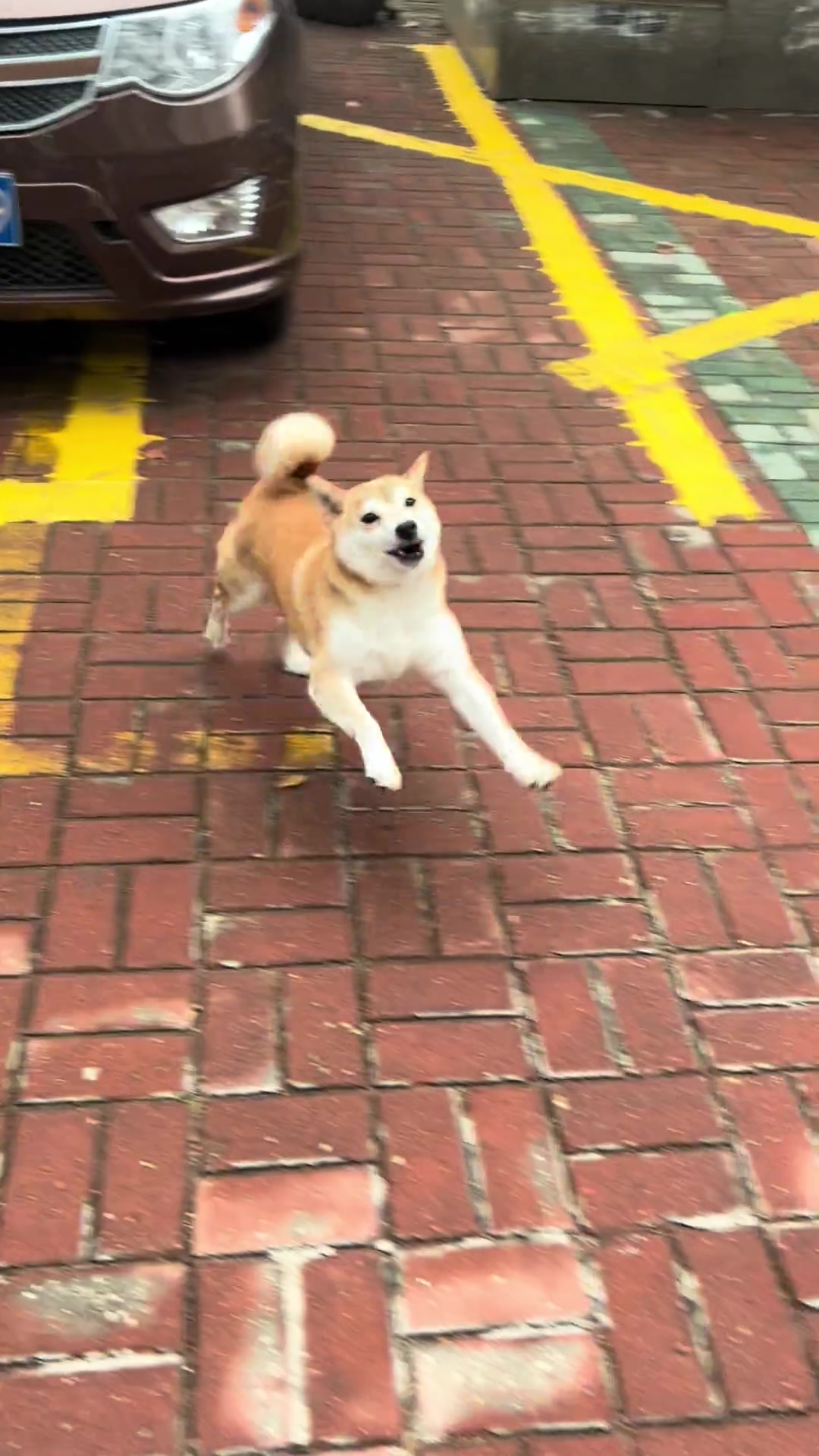 我就说名字不能瞎取吧，你看给孩子取的，走路都只能跳着