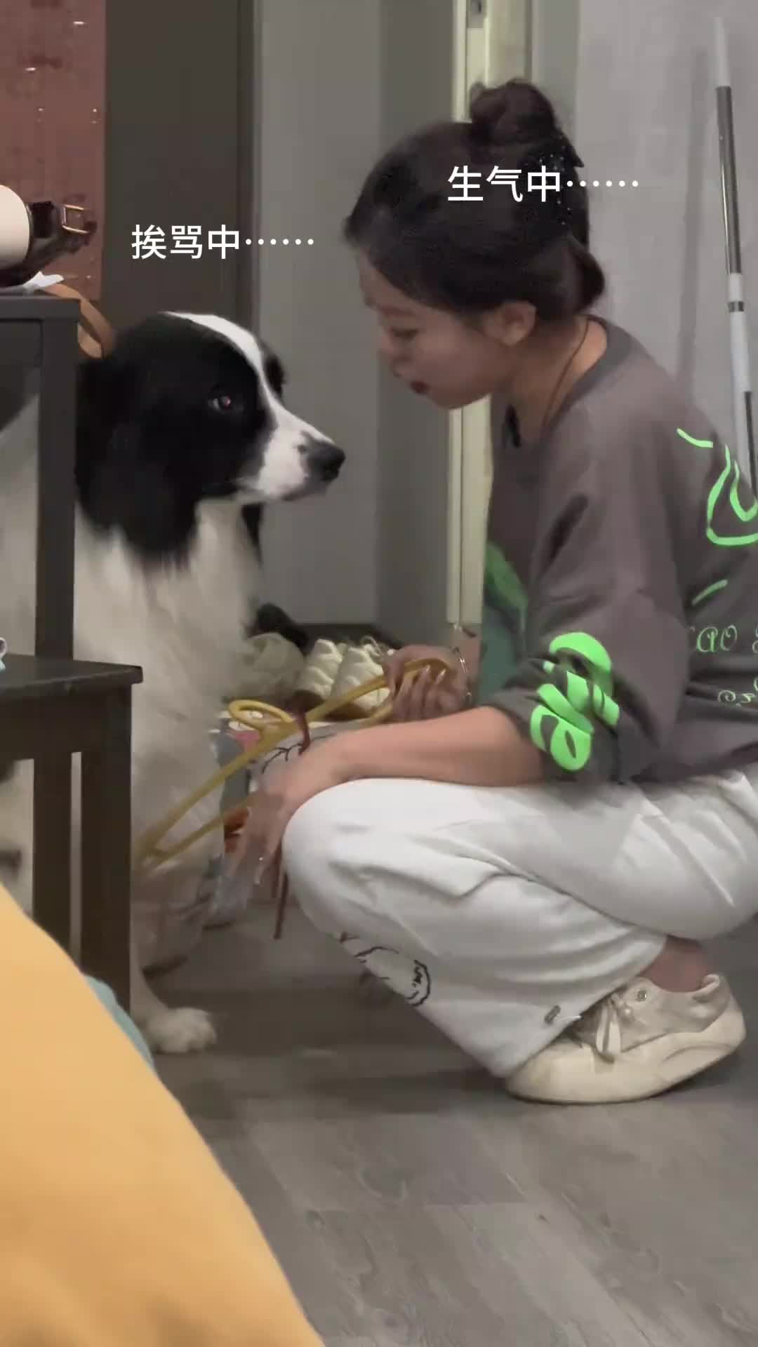 狗子：哄媳妇，看好了，我只示范一次！