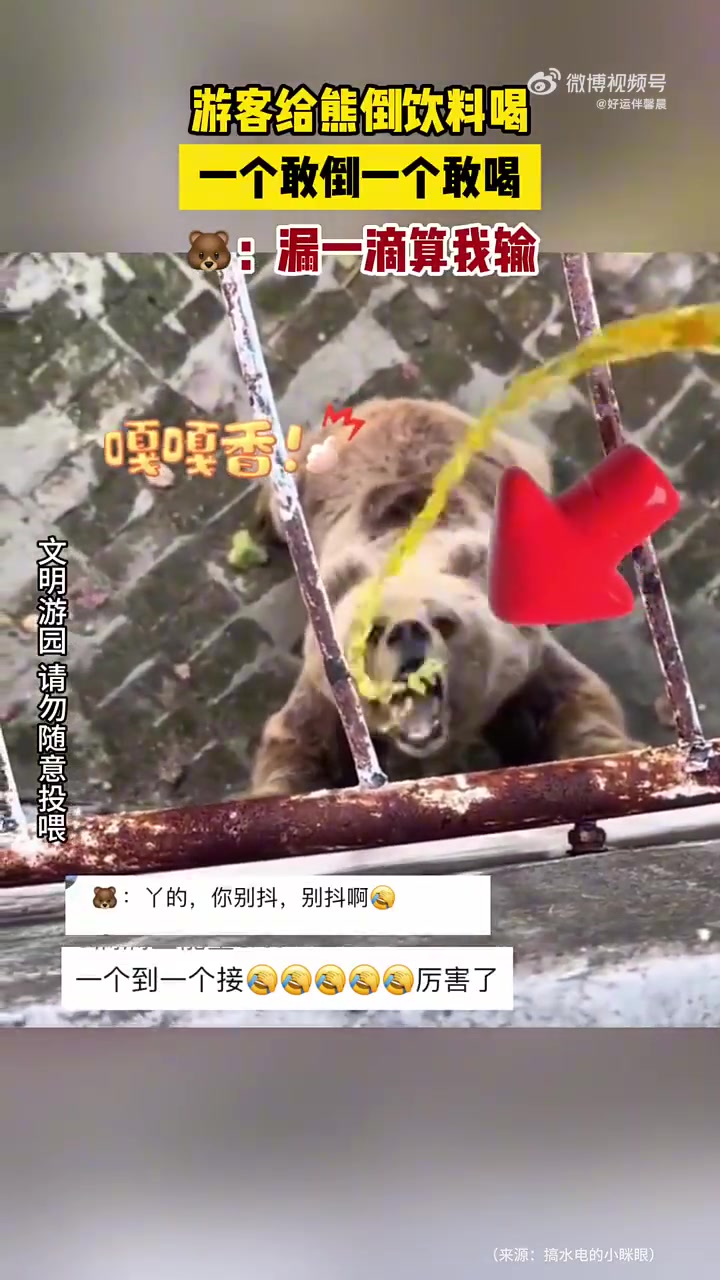 游客给熊倒饮料喝，一个敢倒一个敢喝，：漏一滴算我输