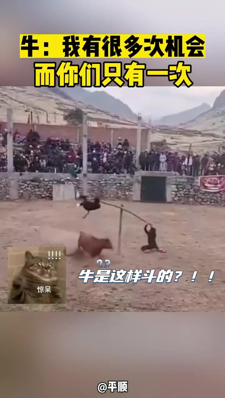 牛：我有很多次机会而你们只有一次！