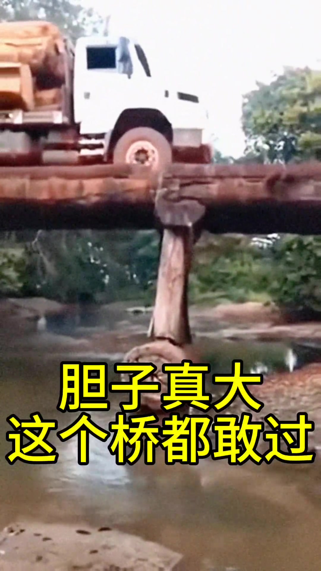 胆子真大，这个桥都敢过