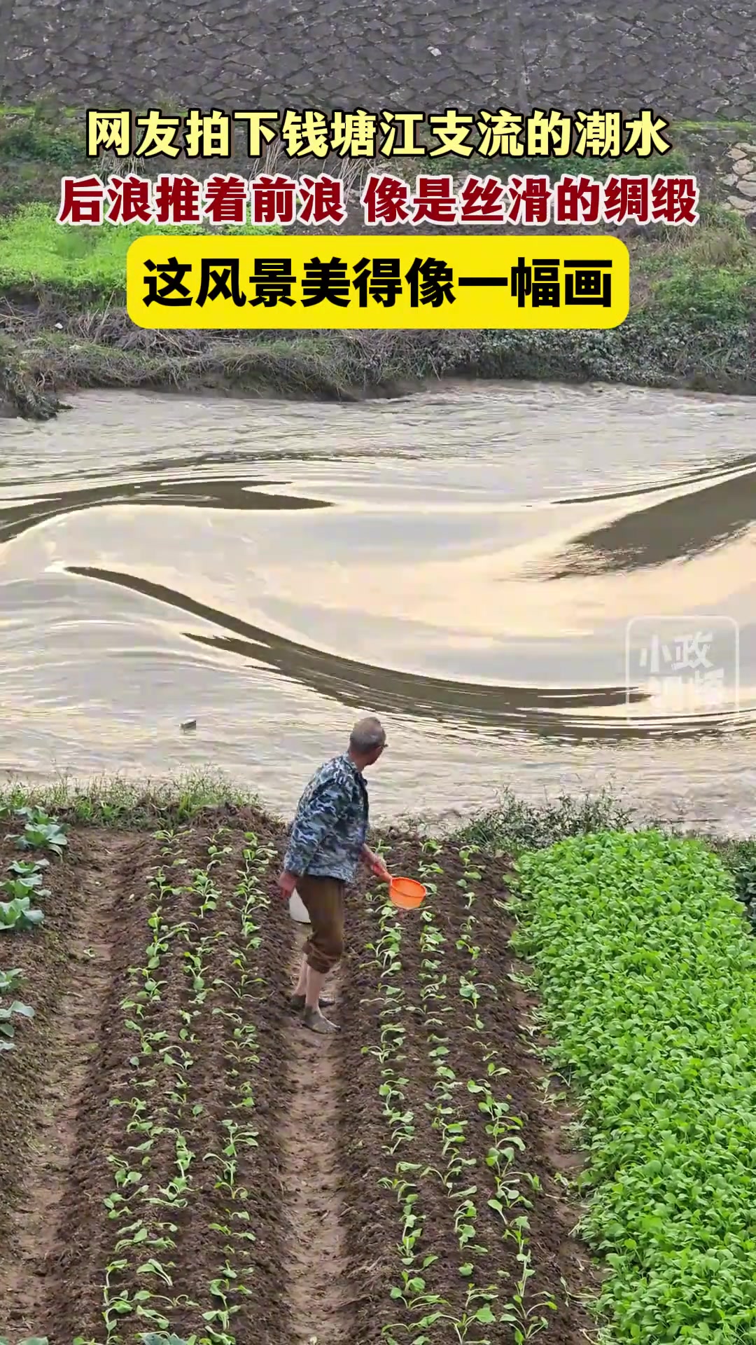 钱塘江支流的潮水，后浪推着前浪像是丝滑的绸缎