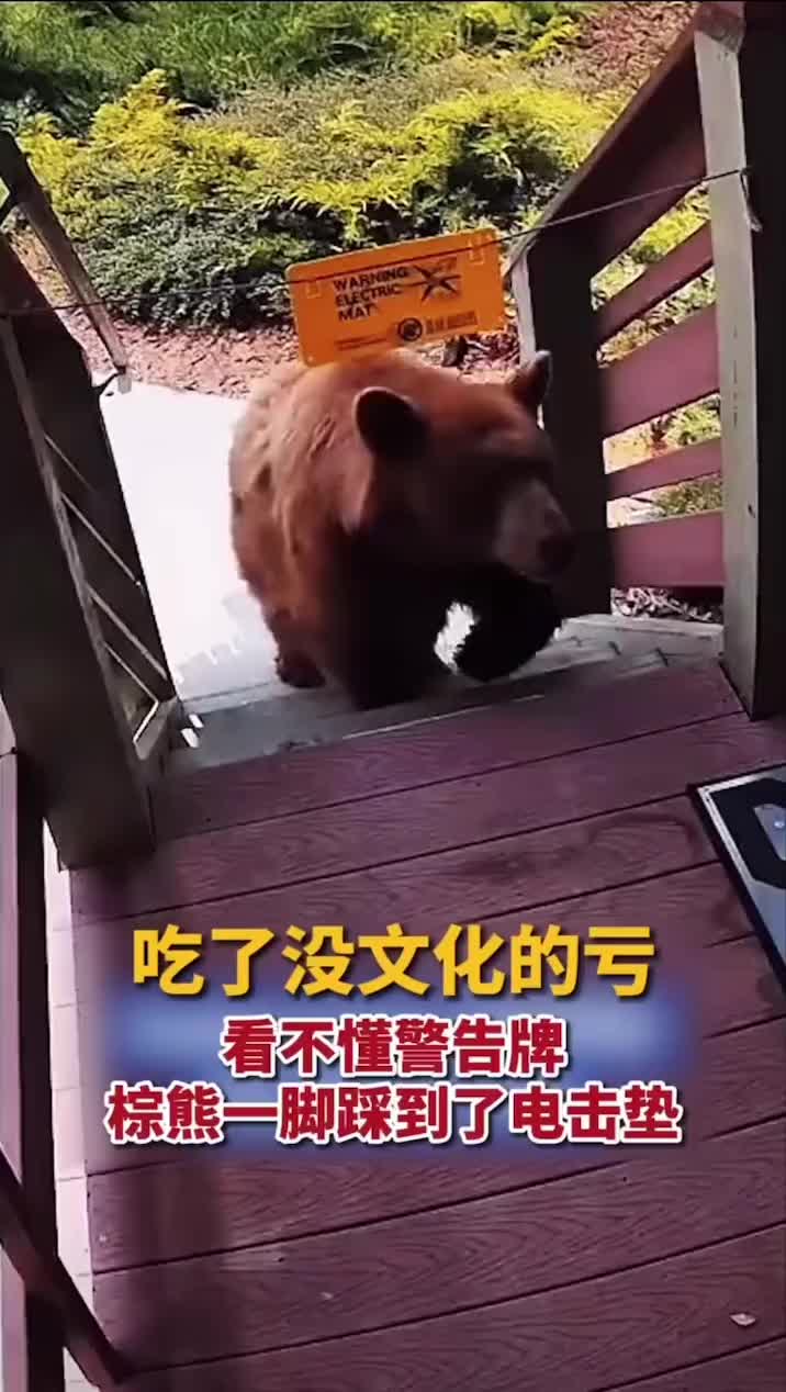 这就是吃了没文化的亏