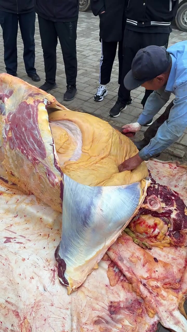 一头牛也出不多少好肉全是下水！！