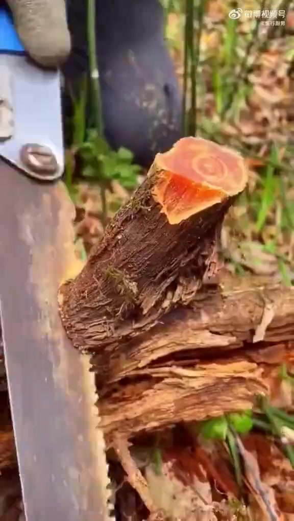 原来珠子是这么来的，别说还挺好看的