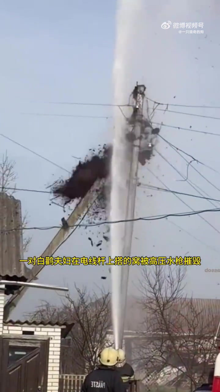 本以为是个悲伤的故事，没想到结局很圆满