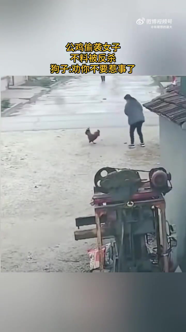 你惹谁不好，你要惹她